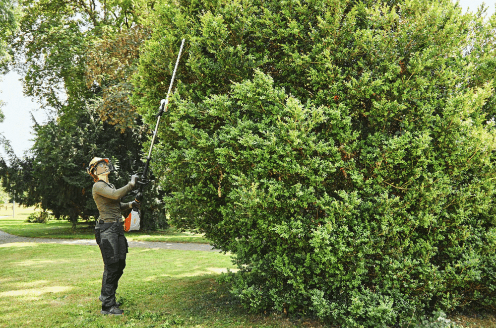 STIHL HLA 135